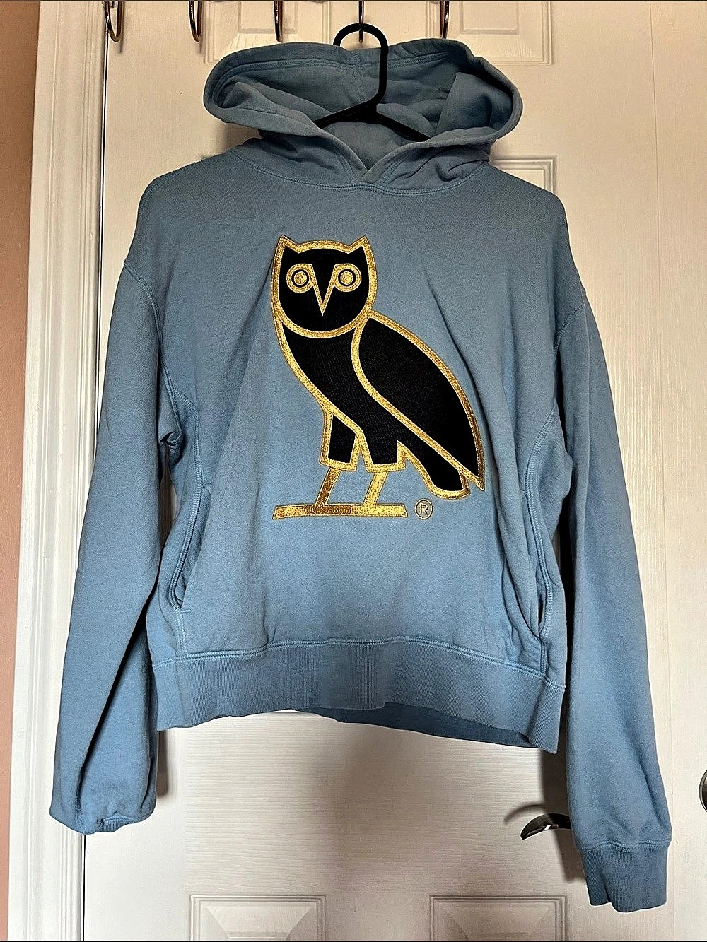 OVO Owl Hoodie Graphic Hoodie in Blue Size Medium Like New